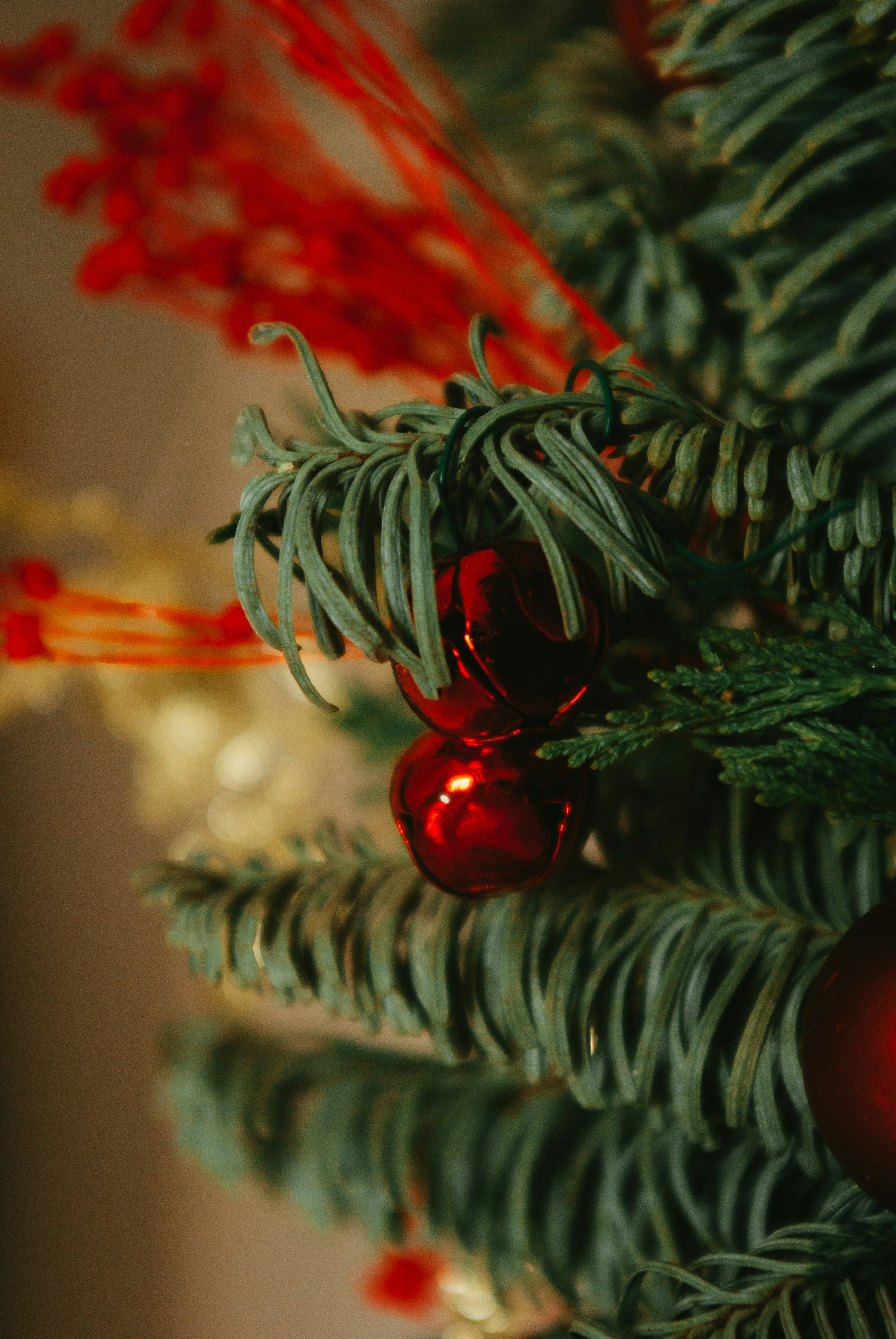 red baubles on green pine tree